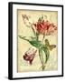 JP3835-French Florals-Jean Plout-Framed Giclee Print