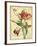 JP3835-French Florals-Jean Plout-Framed Giclee Print