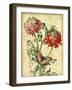 JP3836-French Florals-Jean Plout-Framed Giclee Print