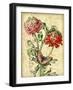 JP3836-French Florals-Jean Plout-Framed Giclee Print