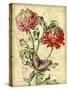 JP3836-French Florals-Jean Plout-Stretched Canvas