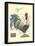 JP3847-Postage Stamp Rooster-Jean Plout-Framed Stretched Canvas