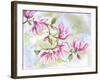 JP3876-Magnolia-Jean Plout-Framed Giclee Print