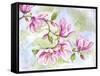 JP3876-Magnolia-Jean Plout-Framed Stretched Canvas