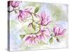 JP3876-Magnolia-Jean Plout-Stretched Canvas