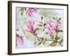 JP3877-Magnolia-Jean Plout-Framed Giclee Print