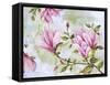 JP3877-Magnolia-Jean Plout-Framed Stretched Canvas