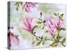JP3877-Magnolia-Jean Plout-Stretched Canvas