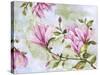 JP3877-Magnolia-Jean Plout-Stretched Canvas