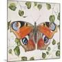 JP3878-No Border-Orange Dream Butterfly-Jean Plout-Mounted Giclee Print