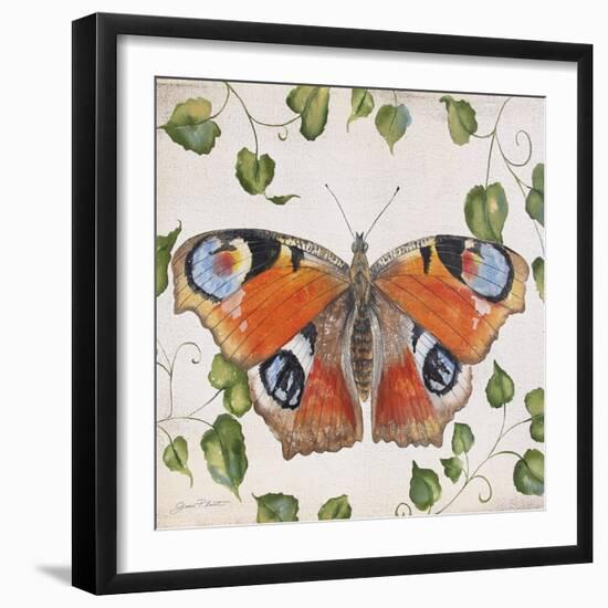 JP3878-No Border-Orange Dream Butterfly-Jean Plout-Framed Giclee Print