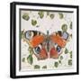 JP3878-No Border-Orange Dream Butterfly-Jean Plout-Framed Giclee Print