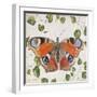 JP3878-No Border-Orange Dream Butterfly-Jean Plout-Framed Giclee Print