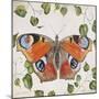 JP3878-No Border-Orange Dream Butterfly-Jean Plout-Mounted Giclee Print