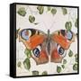 JP3878-No Border-Orange Dream Butterfly-Jean Plout-Framed Stretched Canvas