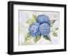 JP3879-Hydrangeas-Jean Plout-Framed Giclee Print