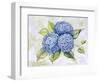 JP3879-Hydrangeas-Jean Plout-Framed Giclee Print