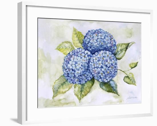 JP3879-Hydrangeas-Jean Plout-Framed Giclee Print