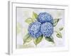 JP3879-Hydrangeas-Jean Plout-Framed Giclee Print