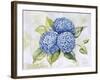 JP3879-Hydrangeas-Jean Plout-Framed Giclee Print