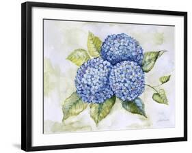 JP3879-Hydrangeas-Jean Plout-Framed Giclee Print