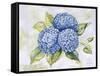 JP3879-Hydrangeas-Jean Plout-Framed Stretched Canvas
