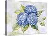 JP3879-Hydrangeas-Jean Plout-Stretched Canvas