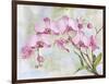 JP3881-Orchids-Pink-Jean Plout-Framed Giclee Print