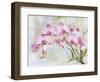 JP3881-Orchids-Pink-Jean Plout-Framed Giclee Print