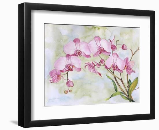 JP3881-Orchids-Pink-Jean Plout-Framed Giclee Print