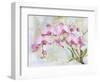 JP3881-Orchids-Pink-Jean Plout-Framed Giclee Print