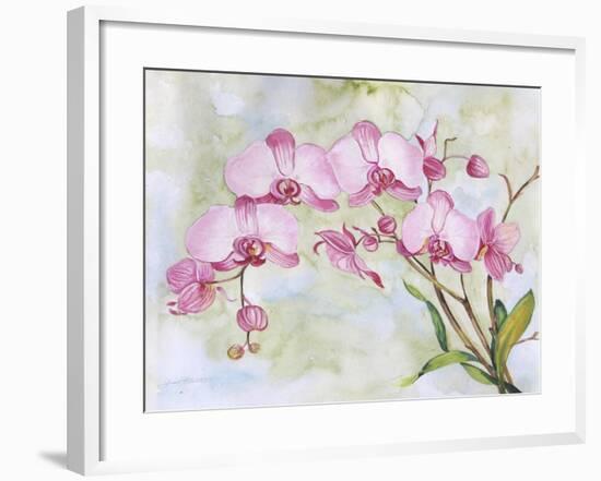 JP3881-Orchids-Pink-Jean Plout-Framed Giclee Print