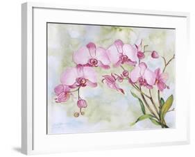 JP3881-Orchids-Pink-Jean Plout-Framed Giclee Print