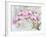 JP3881-Orchids-Pink-Jean Plout-Framed Giclee Print