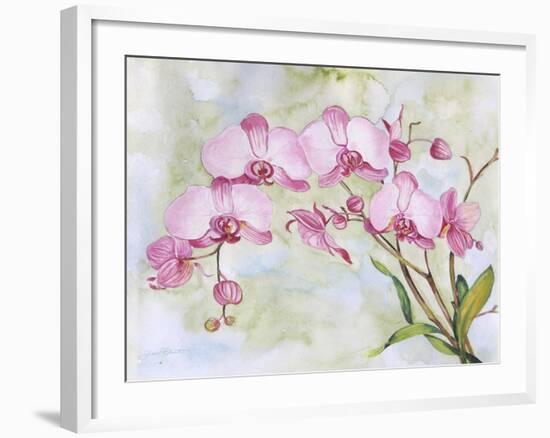 JP3881-Orchids-Pink-Jean Plout-Framed Giclee Print