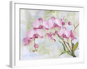 JP3881-Orchids-Pink-Jean Plout-Framed Giclee Print