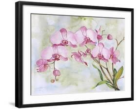 JP3881-Orchids-Pink-Jean Plout-Framed Giclee Print
