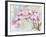 JP3881-Orchids-Pink-Jean Plout-Framed Giclee Print