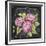 JP3888-Hydrangeas-Jean Plout-Framed Giclee Print