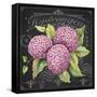 JP3888-Hydrangeas-Jean Plout-Framed Stretched Canvas