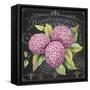 JP3888-Hydrangeas-Jean Plout-Framed Stretched Canvas