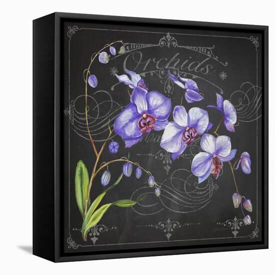 JP3889-Orchids-Jean Plout-Framed Stretched Canvas