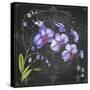 JP3889-Orchids-Jean Plout-Stretched Canvas