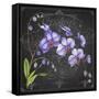 JP3889-Orchids-Jean Plout-Framed Stretched Canvas