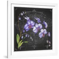 JP3889-Orchids-Jean Plout-Framed Giclee Print