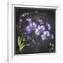 JP3889-Orchids-Jean Plout-Framed Giclee Print