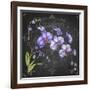 JP3889-Orchids-Jean Plout-Framed Giclee Print