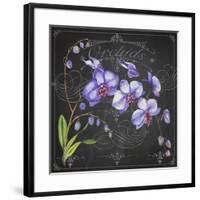 JP3889-Orchids-Jean Plout-Framed Giclee Print