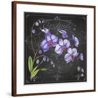 JP3889-Orchids-Jean Plout-Framed Giclee Print