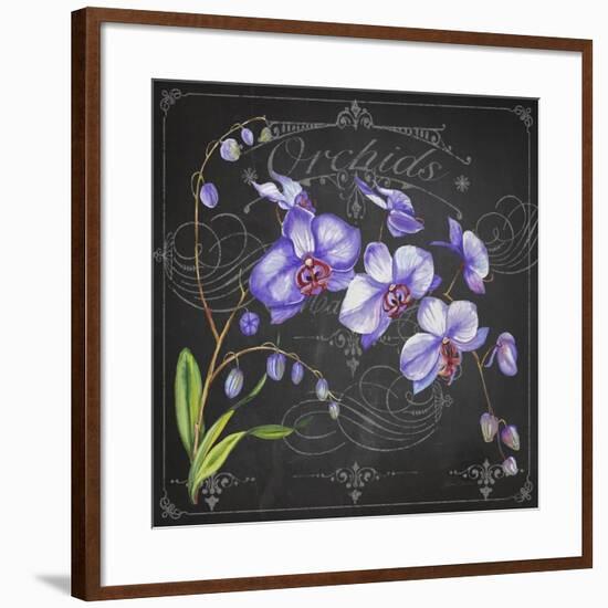 JP3889-Orchids-Jean Plout-Framed Giclee Print